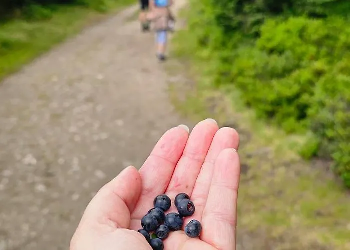 Krkonosska Chaloupka *